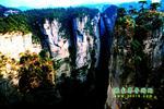 【純玩拼團(tuán)線路6】張家界、黃龍洞、天門山、天子山三晚四日游