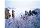 春節(jié)旅游：張家界、袁家界、天子山、寶峰湖/黃龍洞度假二晚三日游